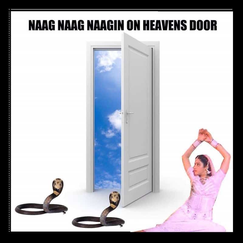 Naag naag naagin on heaven's door