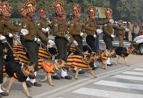 Army Dogs March