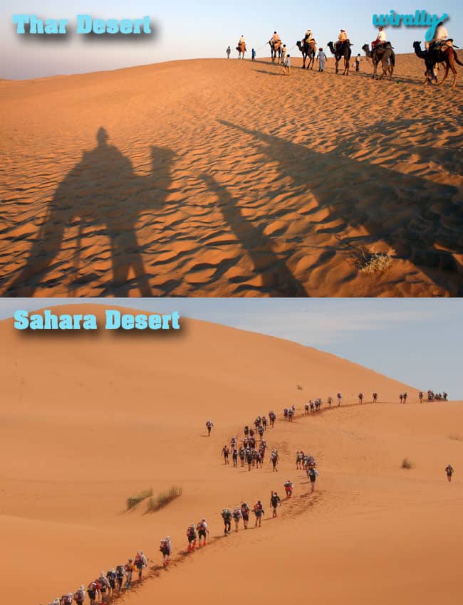 Thar-Sahara