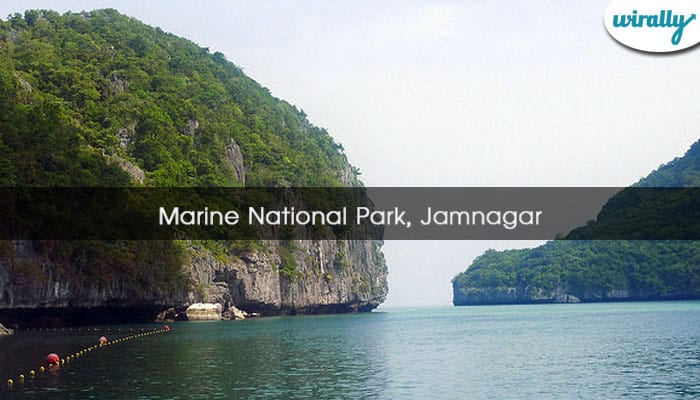 Marine National Park, Jamnagar