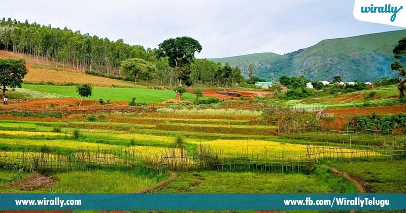 3 Araku-Valley