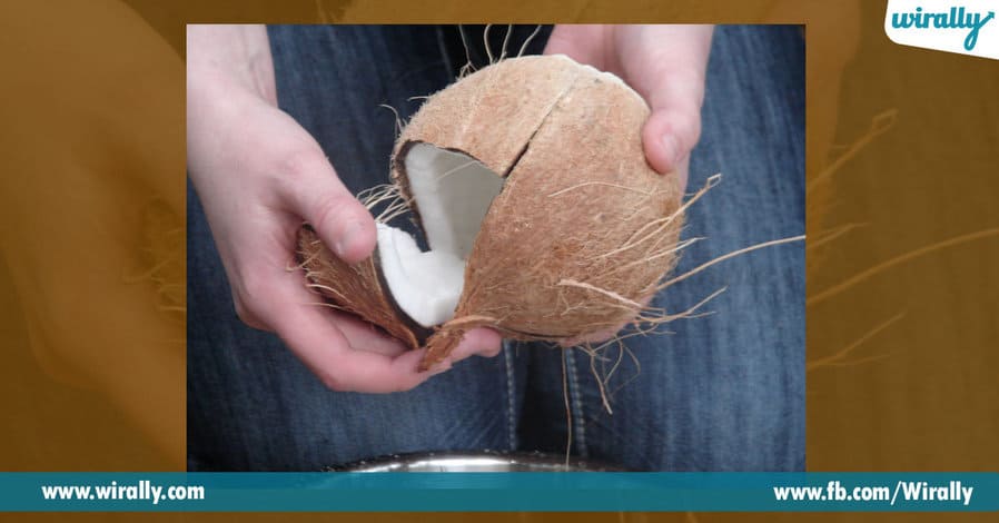 Coconut 3