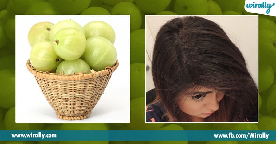 1 Benefits of Amla for our hair