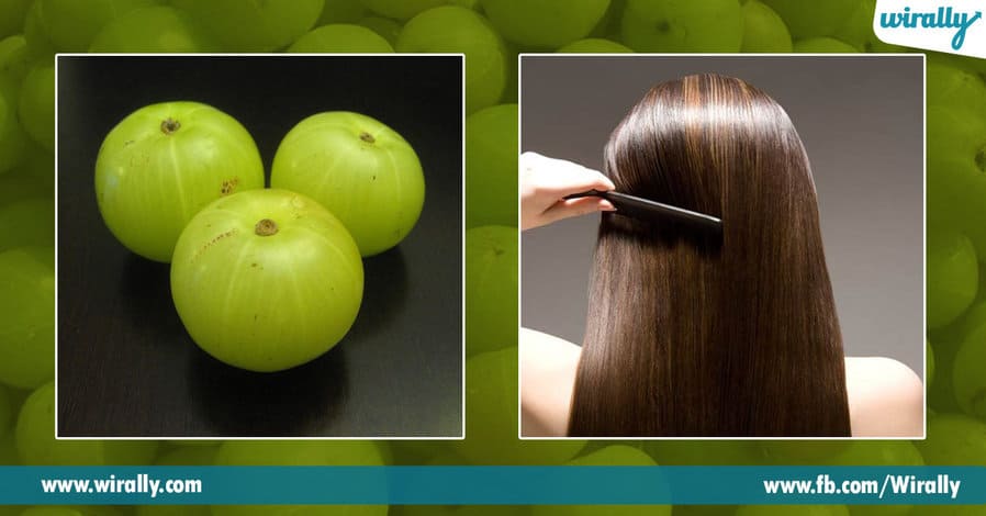 8 Benefits of Amla for our hair