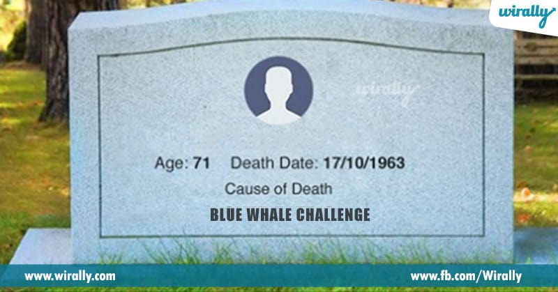8. The curator will tell you the date of your death