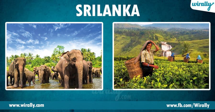3 - srilanka