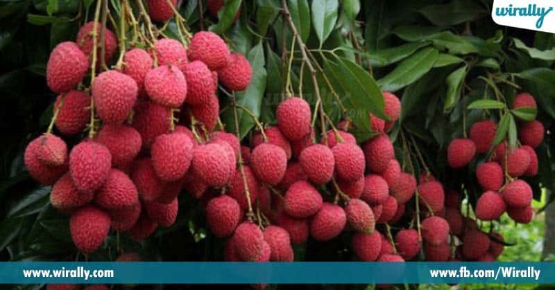 Monsoon Seasonal Fruits