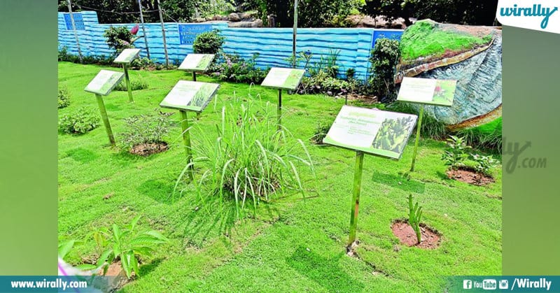 Hyderabad's First Ever Rainwater