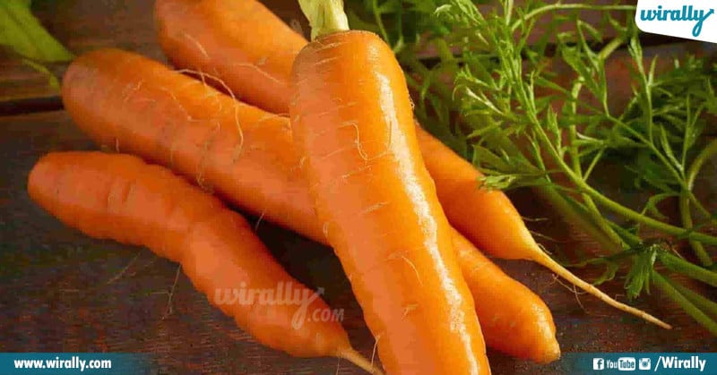 Carrot And Lead A Healthy