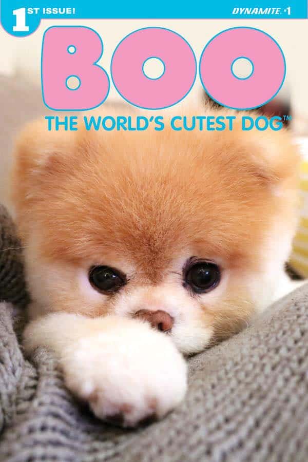 Worlds Cutest Dog Boo