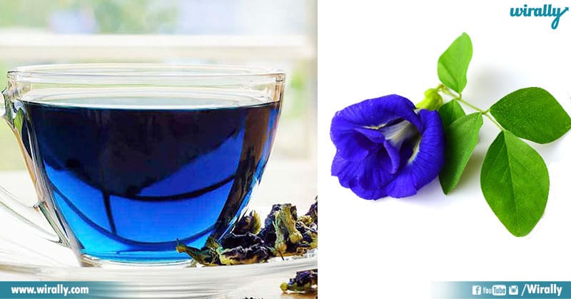 Blue Tea And Its Benefits