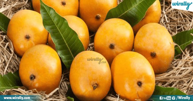 Popular Varieties of Mangoes