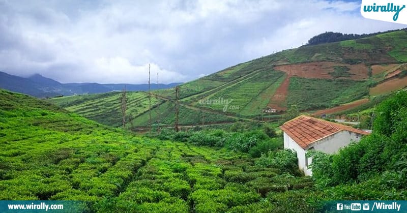 Hill Stations From South India Visit This Summer