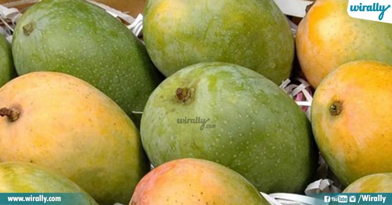 Popular Varieties of Mangoes