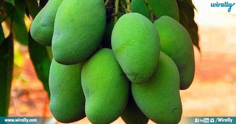 Benefits of Raw Mango
