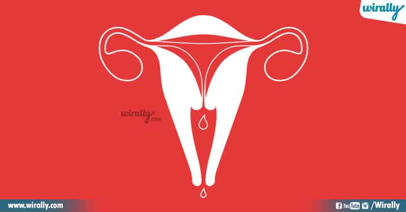 4 - Menstruation