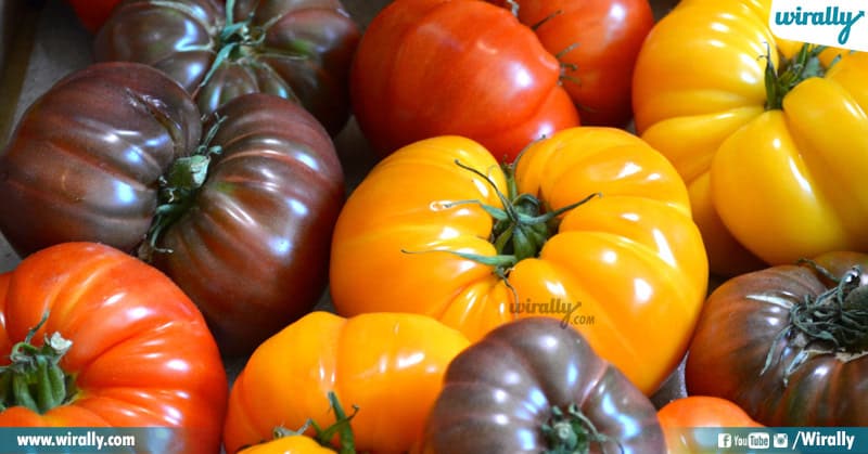 Varieties Of Tomatoes