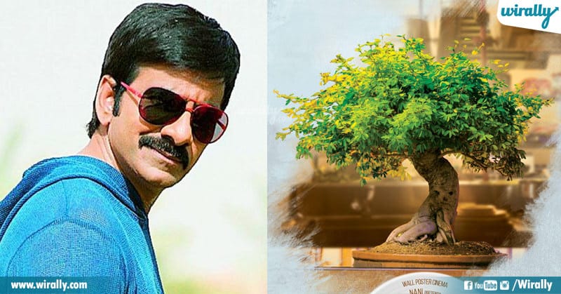 Telugu Actors voice for other roles