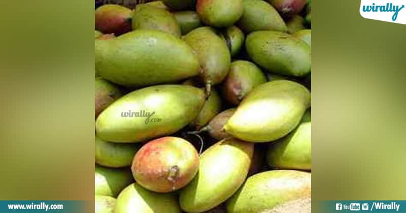 Varieties Mango From Our Telugu States