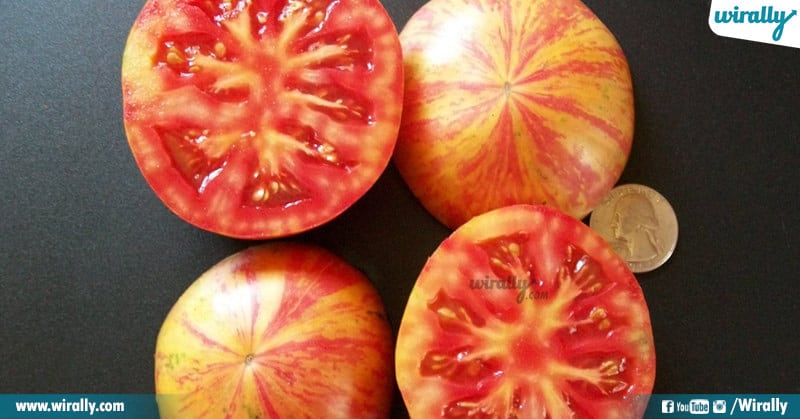 Varieties Of Tomatoes