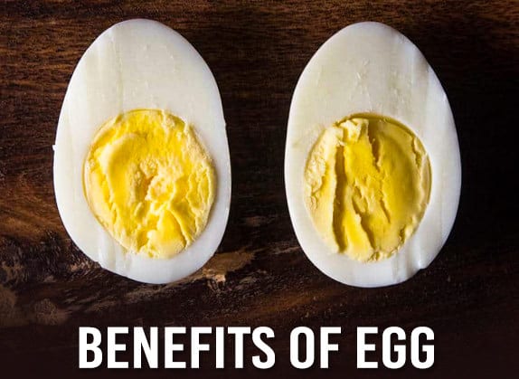 5 Reasons Why Eggs Are The Healthiest Food On The Planet - Wirally