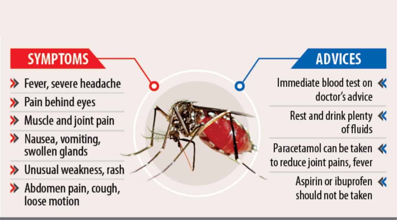 symptoms and advices for dengue