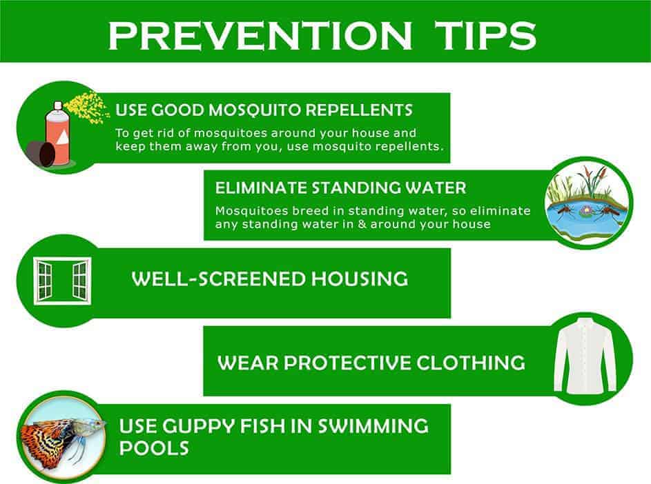 prevention tips for dengue