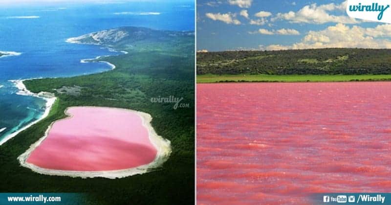 The Pink Lake Hillier