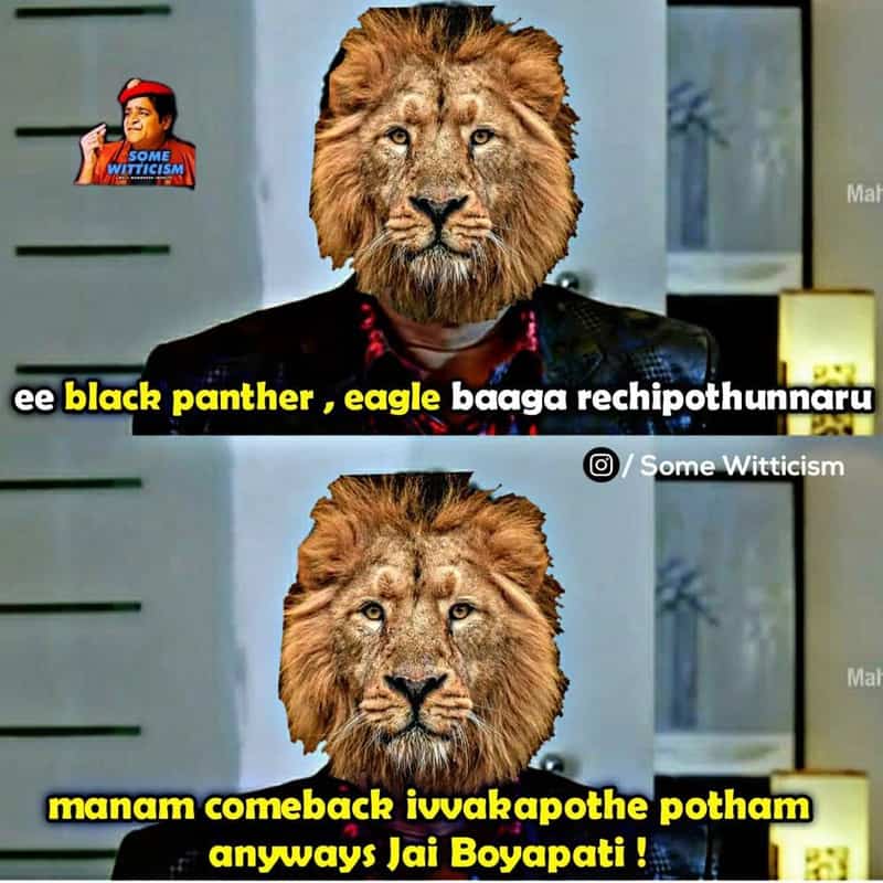 13. Panther Memes