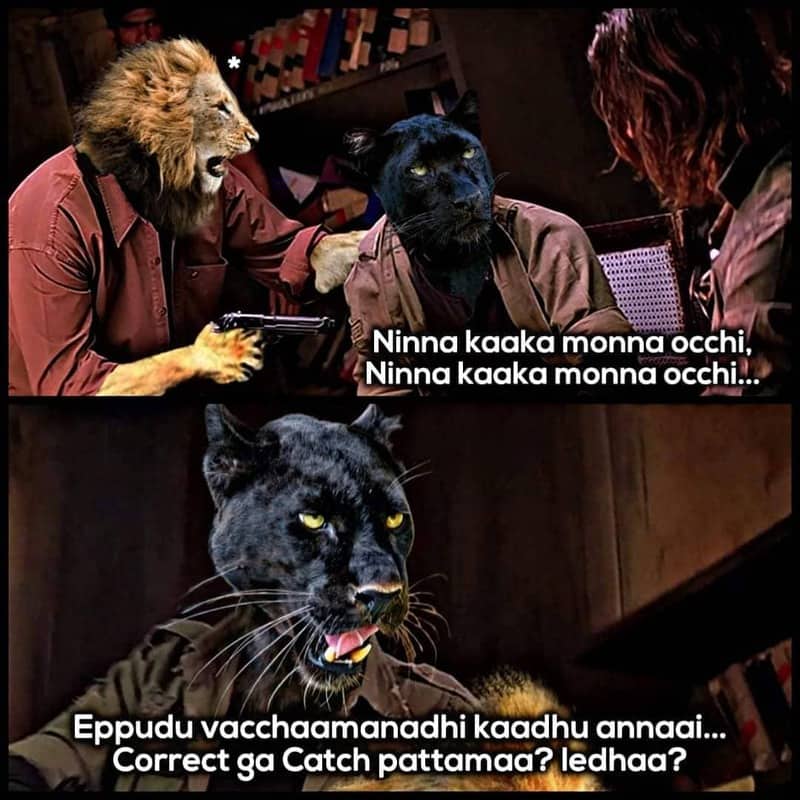 3. Panther Memes
