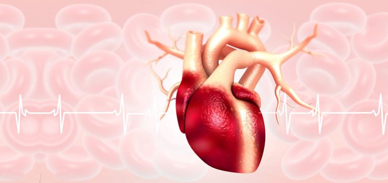 TOP 10 BEST CARDIOLOGISTS IN HYDERABAD