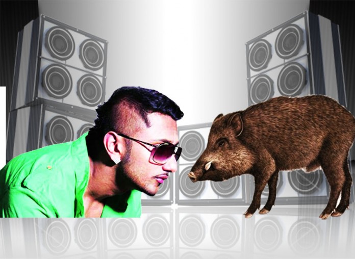 honey singh songs