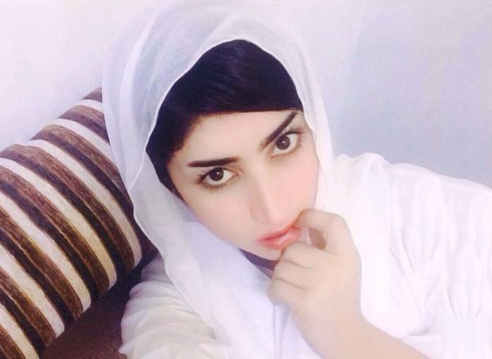 qandeel baloch, Pakistan, ICC World Twenty20, Shahid Afridi, cricket news,t20,t20 world cup