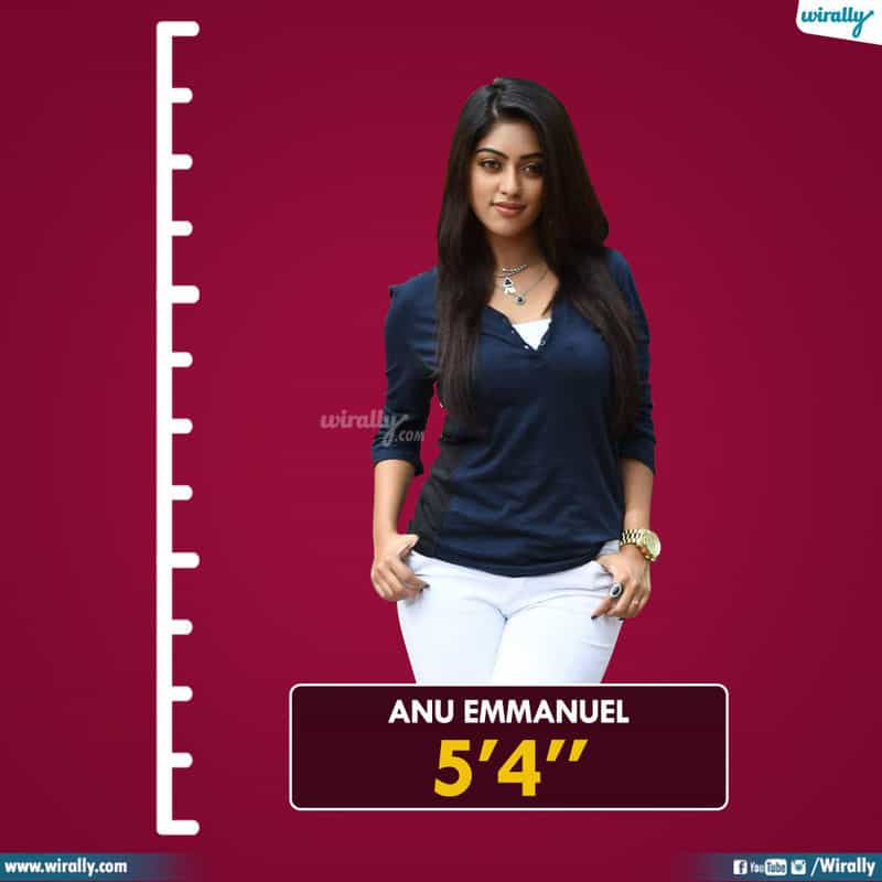 Tollywood Heroines And Their Heights