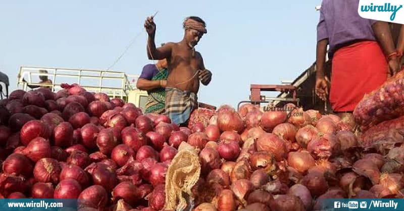 Onion Farmer