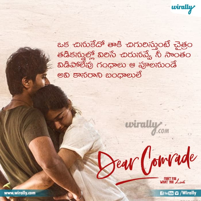 Dear Comrade