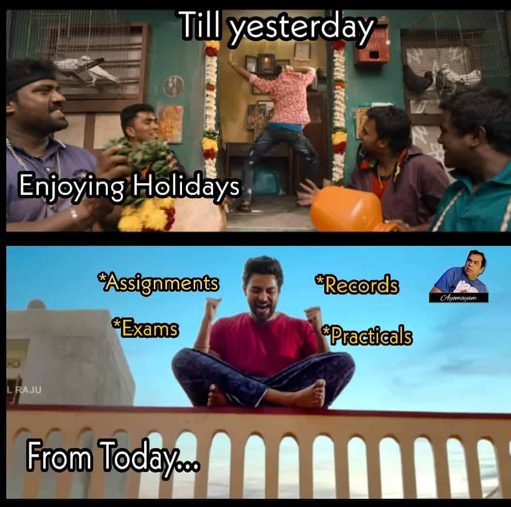 Sankranti Memes