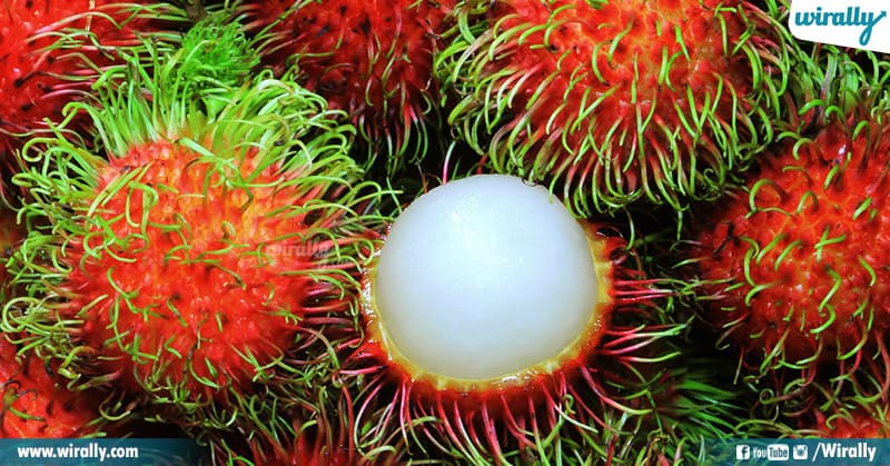Exoctic Fruits