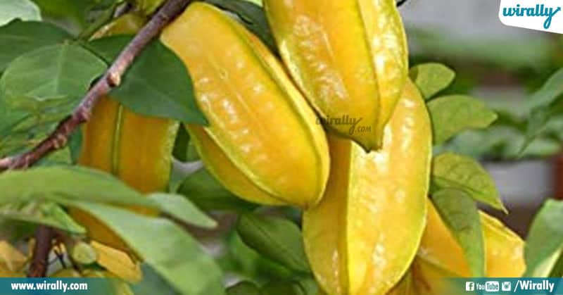 7 Rare Fruits Available In India