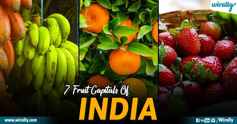 Here Are 7 Most Famous Fruit Capitals Of India! | Wirally