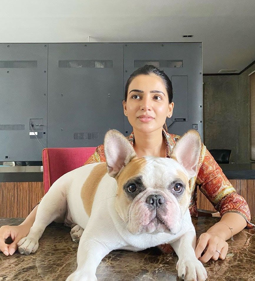 Samantha Akkineni Naga Chaitanya Home 17