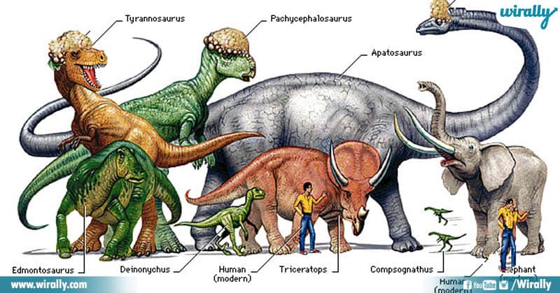 2 Unknown Facts About Dinosaurs