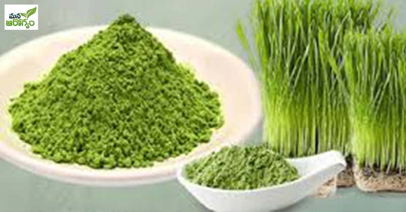 health benefits of drinking wheatgrass juice