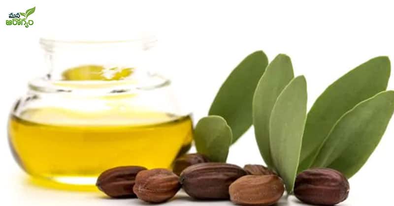 Health Benfits of Jojoba oil