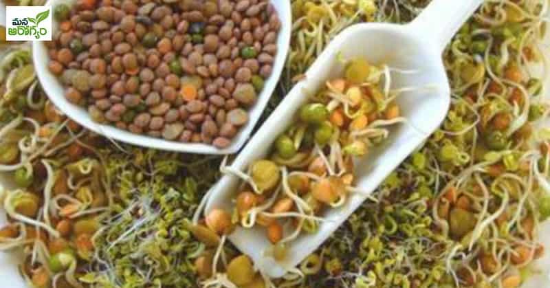 Do you know what kind of nutrients are present in sprouted nuts?