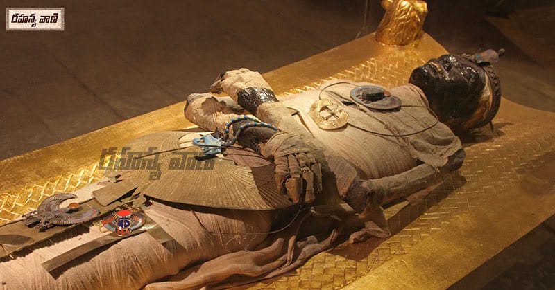 Unknown Facts About Egypt mummy