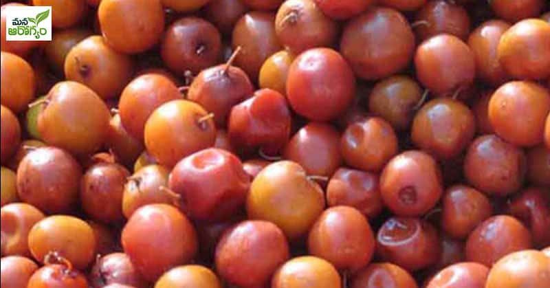 health benefits of Badari fruits