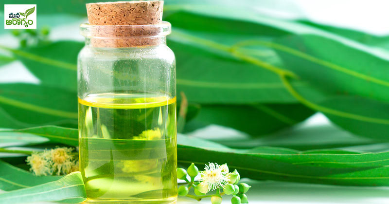 Health benefits with eucalyptus oil