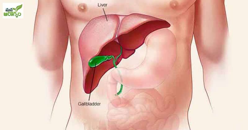 Tips for Fatty Liver Prevention