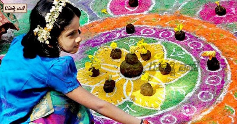 Significance of Sankranti Festival